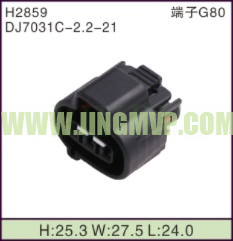 JP-H2859